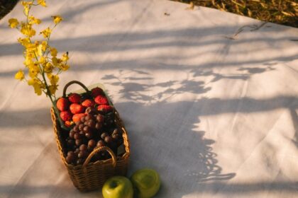 découvrez les meilleures pratiques de jardinage d'automne pour préparer votre jardin pour l'hiver. apprenez à choisir les plantes adaptées, à aménager vos espaces extérieurs et à optimiser votre sol pour un jardin florissant au printemps prochain.