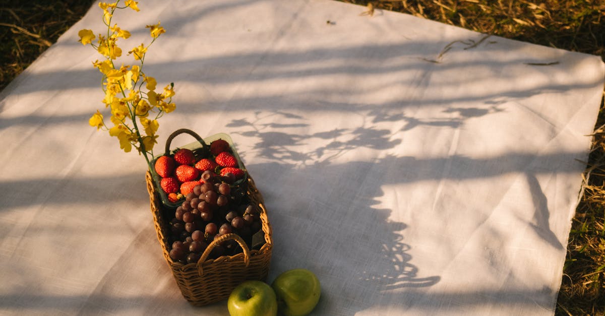 découvrez les meilleures pratiques de jardinage d'automne pour préparer votre jardin pour l'hiver. apprenez à choisir les plantes adaptées, à aménager vos espaces extérieurs et à optimiser votre sol pour un jardin florissant au printemps prochain.