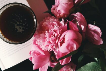 découvrez la beauté envoûtante des pivoines, des fleurs prisées pour leur élégance et leur parfum délicat. apprenez à les cultiver, à les soigner et à les utiliser dans vos bouquets et arrangements floraux.