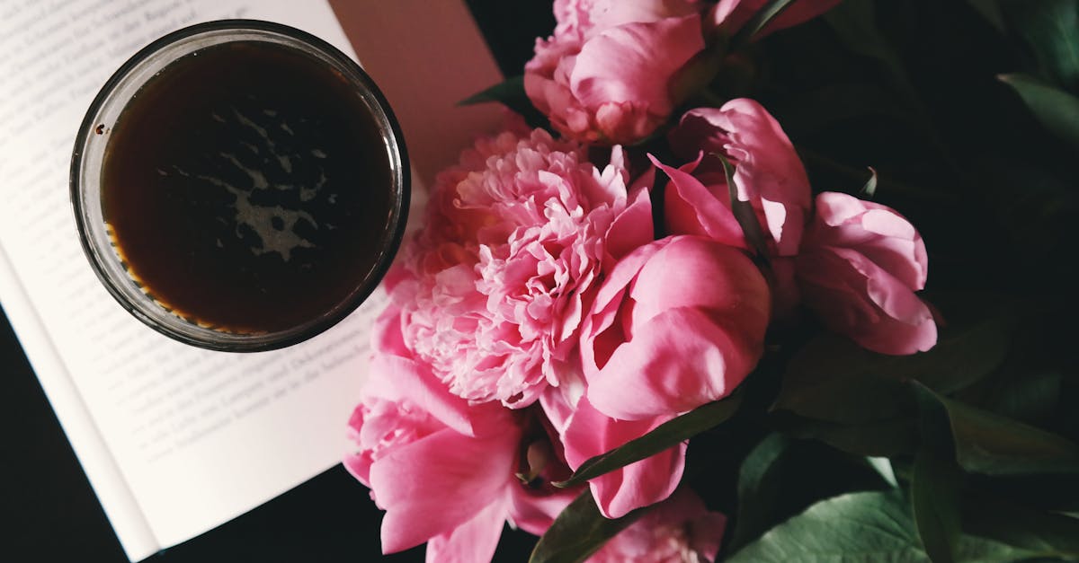 découvrez la beauté envoûtante des pivoines, des fleurs prisées pour leur élégance et leur parfum délicat. apprenez à les cultiver, à les soigner et à les utiliser dans vos bouquets et arrangements floraux.