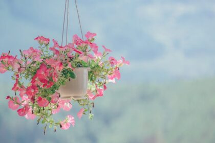 découvrez des idées inspirantes et tendances pour embellir votre intérieur grâce à notre guide complet de la décoration. transformez chaque pièce en un espace unique et chaleureux qui reflète votre style personnel.