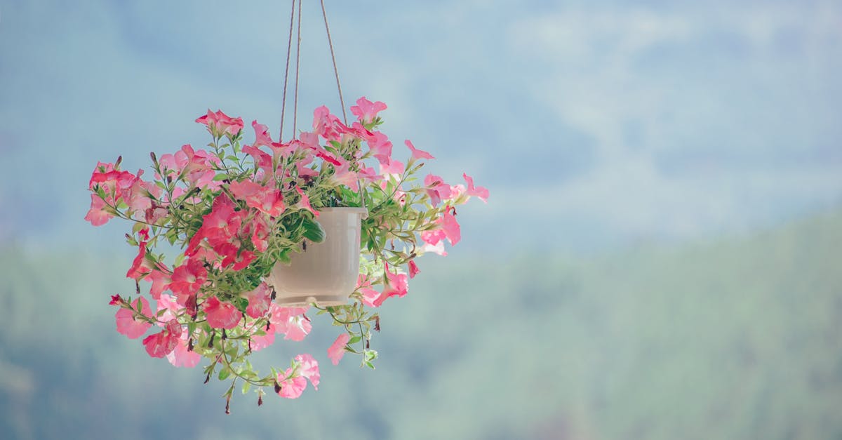 découvrez des idées inspirantes et tendances pour embellir votre intérieur grâce à notre guide complet de la décoration. transformez chaque pièce en un espace unique et chaleureux qui reflète votre style personnel.