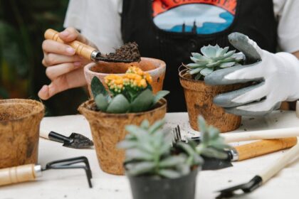 découvrez notre sélection d'outils de jardinage de qualité pour tous vos projets de jardin. que vous soyez jardinier amateur ou expérimenté, trouvez l'équipement adapté pour cultiver et entretenir votre jardin avec efficacité.