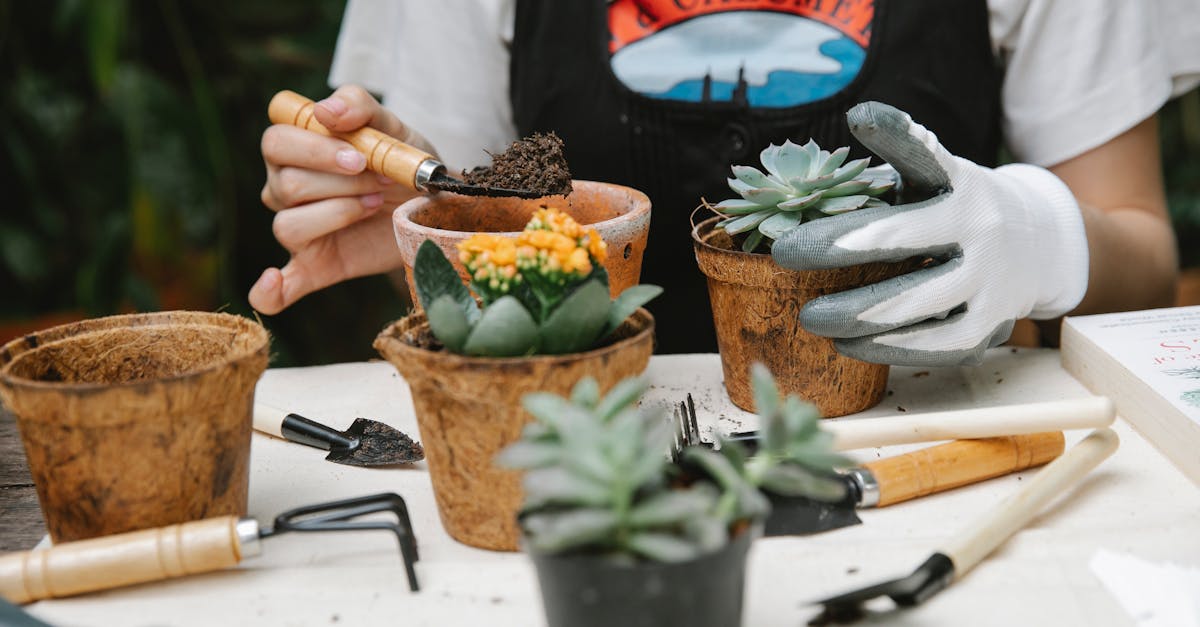 découvrez notre sélection d'outils de jardinage de qualité pour tous vos projets de jardin. que vous soyez jardinier amateur ou expérimenté, trouvez l'équipement adapté pour cultiver et entretenir votre jardin avec efficacité.