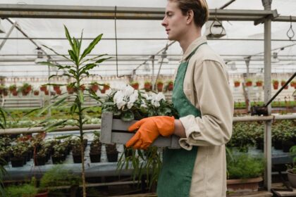 découvrez notre sélection d'outils de jardinage, conçus pour faciliter votre expérience de jardinage. que vous soyez un débutant ou un jardinier expérimenté, trouvez les équipements adaptés pour cultiver et entretenir votre jardin avec efficacité.