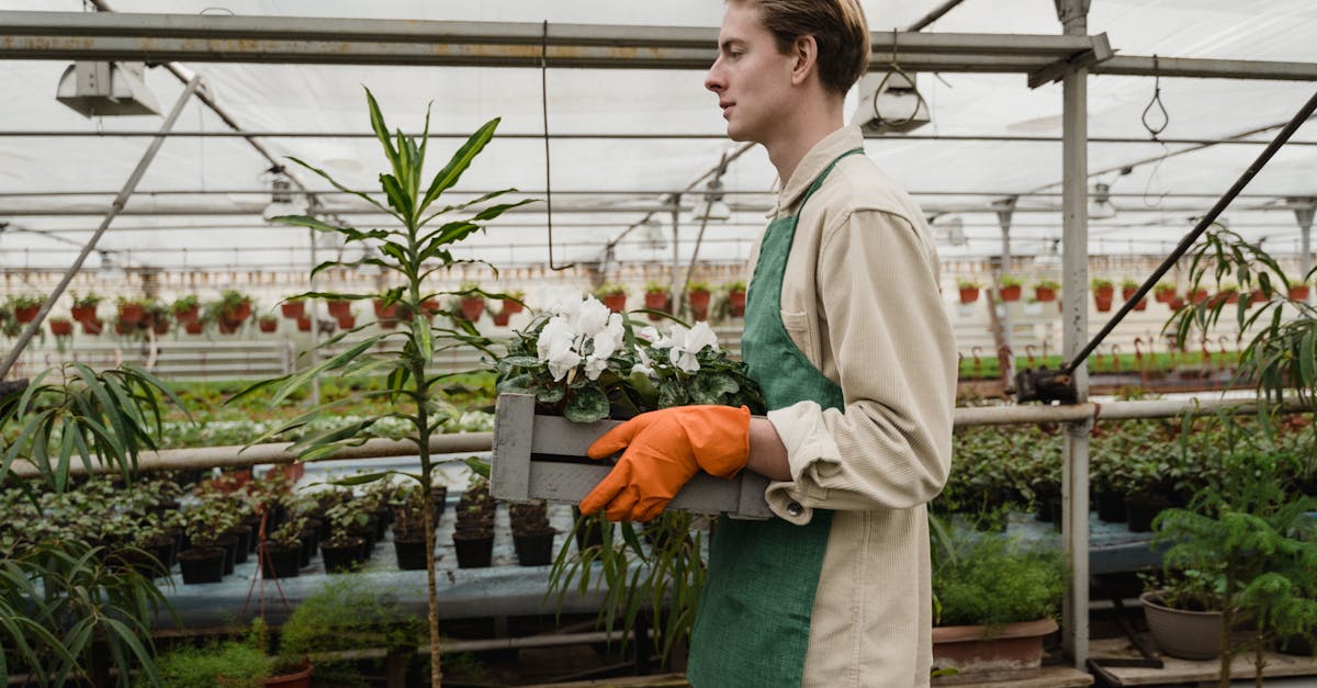 découvrez notre sélection d'outils de jardinage, conçus pour faciliter votre expérience de jardinage. que vous soyez un débutant ou un jardinier expérimenté, trouvez les équipements adaptés pour cultiver et entretenir votre jardin avec efficacité.