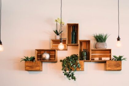 découvrez l'univers captivant du design, alliant créativité et fonctionnalité. explorez les tendances, astuces et inspirations pour transformer vos idées en réalisations esthétiques et pratiques.