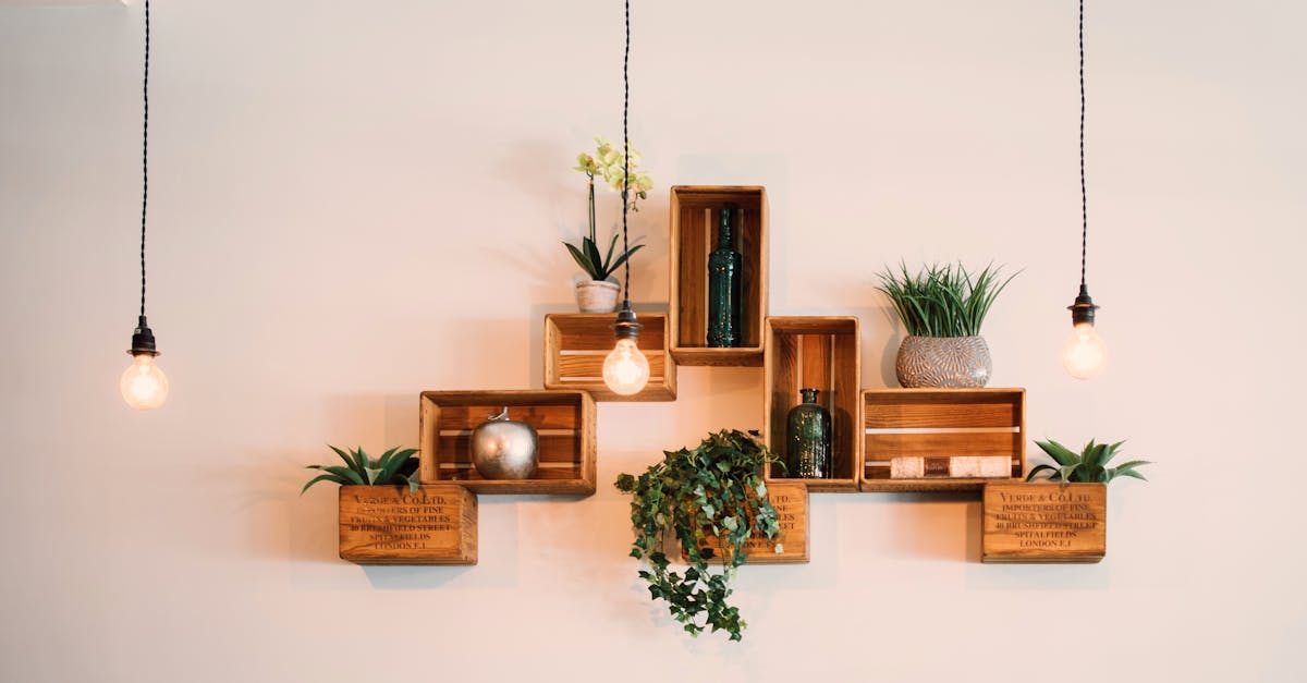 découvrez l'univers captivant du design, alliant créativité et fonctionnalité. explorez les tendances, astuces et inspirations pour transformer vos idées en réalisations esthétiques et pratiques.