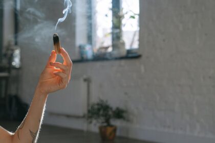 découvrez notre gamme de désodorisants d'air innovants qui rafraîchissent votre intérieur tout en créant une atmosphère agréable. profitez de senteurs envoûtantes et purifiantes pour transformer chaque pièce. optez pour la fraîcheur durable !