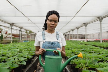 découvrez notre sélection d'outils de jardinage de qualité pour entretenir votre jardin avec facilité. que vous soyez débutant ou jardinier expérimenté, trouvez les outils adaptés à vos besoins pour cultiver vos plantes et fleurs avec succès.