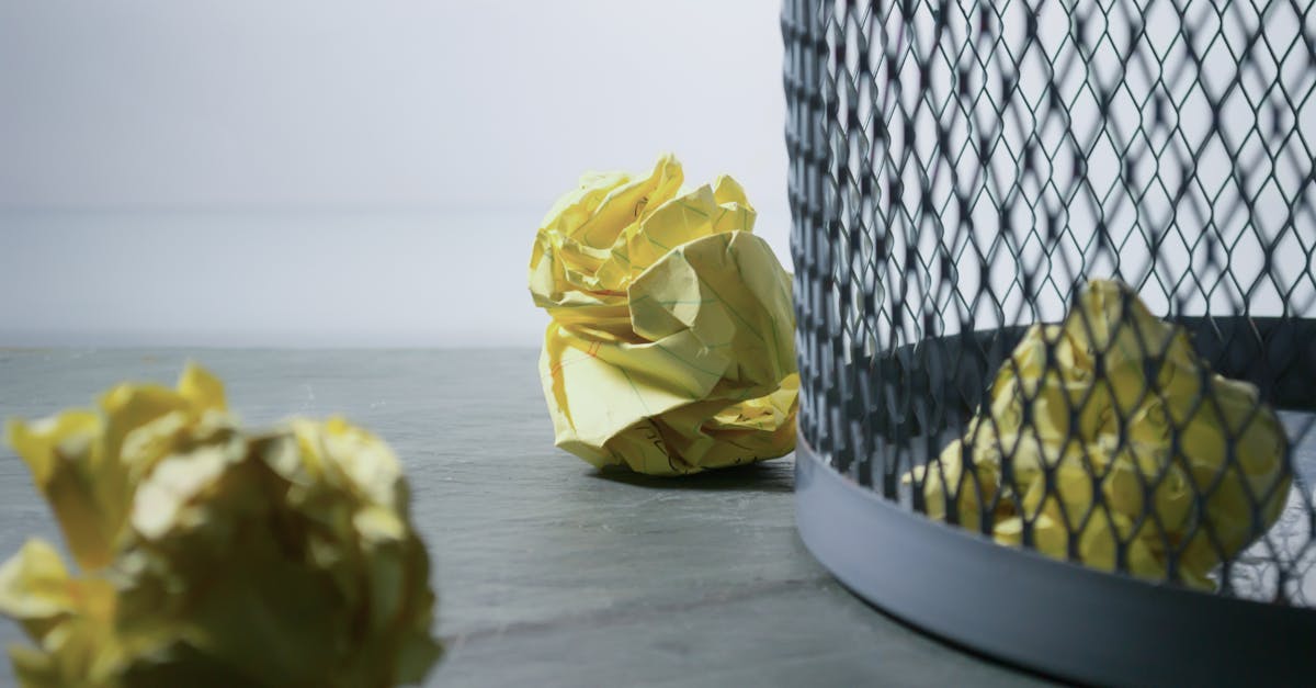 découvrez l'importance du recyclage pour l'environnement et la société. apprenez des astuces pratiques et des informations sur les matériaux recyclables pour un monde plus durable.