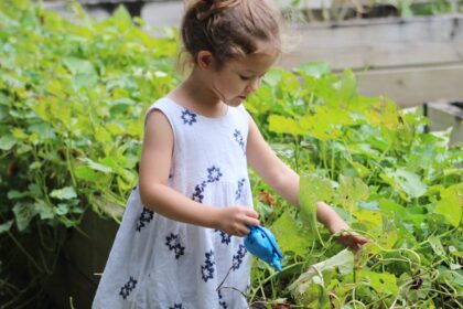 découvrez l'art du jardinage avec nos conseils pratiques, astuces de culture et idées inspirantes pour transformer votre espace extérieur en un véritable havre de paix et de verdure.