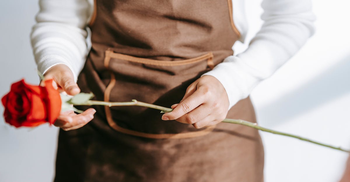 découvrez notre magasin de décoration, où créativité et style s'allient pour embellir votre intérieur. une sélection unique d'objets décoratifs, de meubles tendance et d'accessoires inspirants pour transformer chaque espace en un véritable cocon.