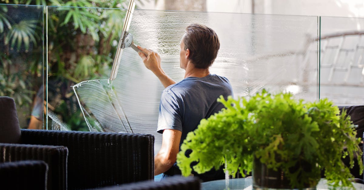 découvrez nos astuces et conseils pratiques pour un nettoyage efficace de votre maison. apprenez à choisir les meilleurs produits, à organiser vos tâches ménagères et à maintenir un environnement sain et propre.