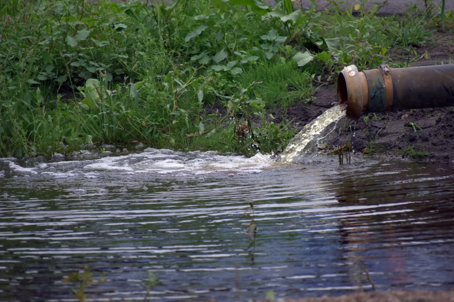 Détourner l'eau de la maison vers les plantes