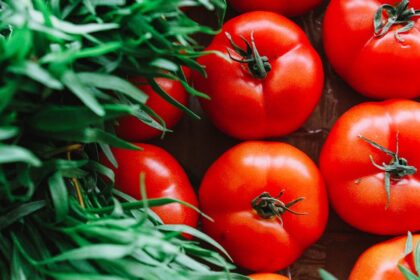découvrez l'univers fascinant des légumes : des bienfaits nutritionnels à leurs variétés colorées, apprenez comment les intégrer dans votre alimentation quotidienne pour une vie saine et équilibrée.