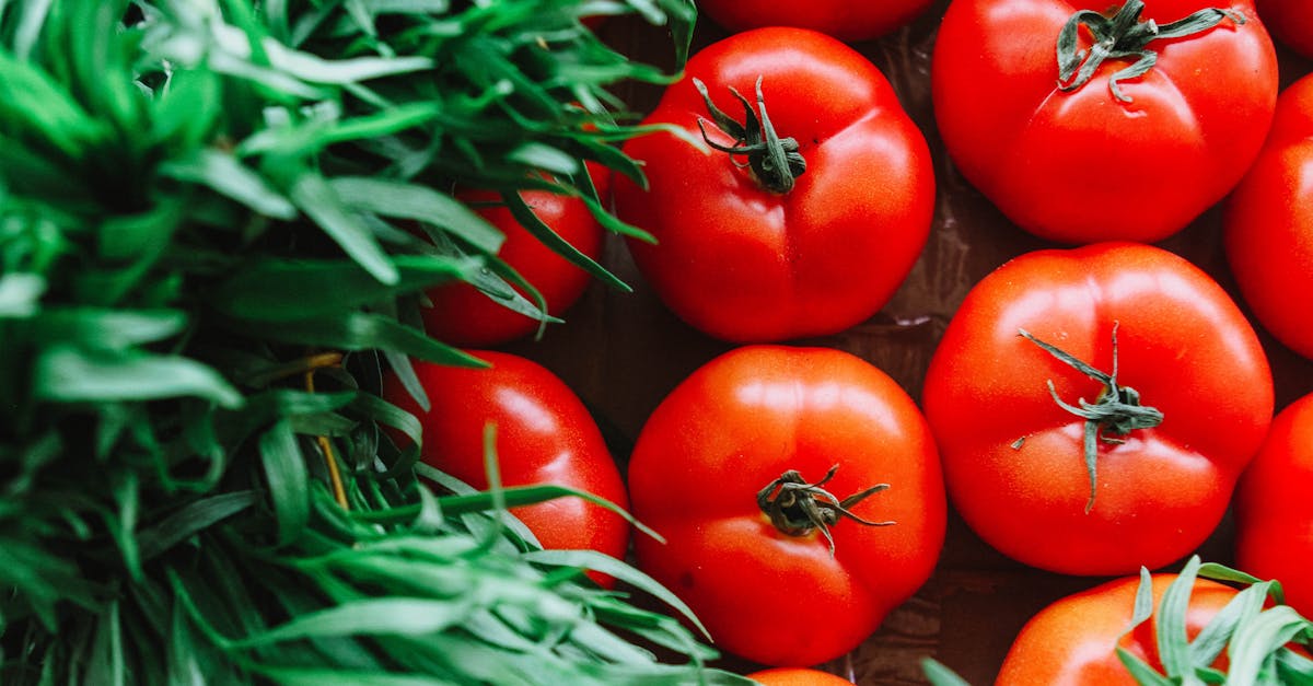 découvrez l'univers fascinant des légumes : des bienfaits nutritionnels à leurs variétés colorées, apprenez comment les intégrer dans votre alimentation quotidienne pour une vie saine et équilibrée.