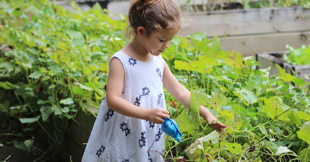 découvrez l'art du jardinage avec nos conseils pratiques, astuces de culture et inspirations pour créer un espace vert épanouissant. que vous soyez novice ou jardinier aguerri, trouvez tout ce dont vous avez besoin pour cultiver vos plantes et fleurir votre jardin.