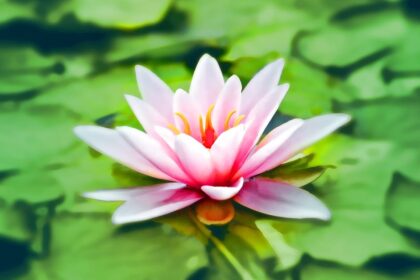 découvrez les bienfaits d'un étang (pond) dans votre jardin : un écosystème riche, un espace de détente et une source d'inspiration pour la biodiversité. apprenez comment créer et entretenir votre propre étang pour profiter d'un coin de nature apaisant.