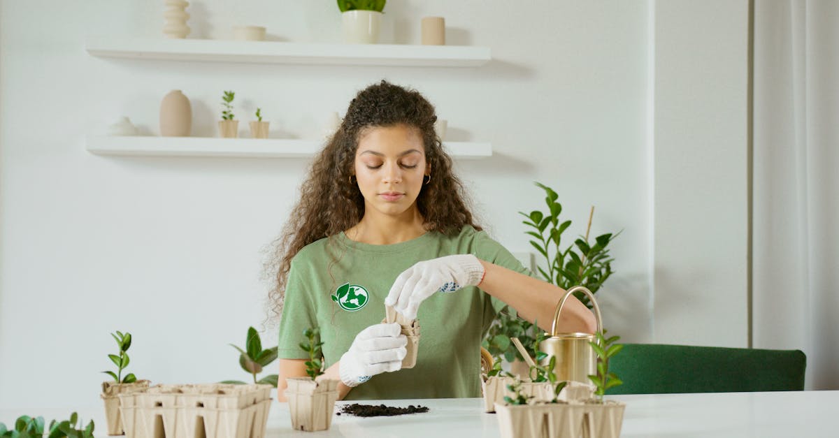découvrez l'art du jardinage écologique : des techniques durables pour cultiver un jardin florissant tout en protégeant l'environnement. apprenez à utiliser des méthodes naturelles, à favoriser la biodiversité et à réduire votre empreinte écologique au jardin.