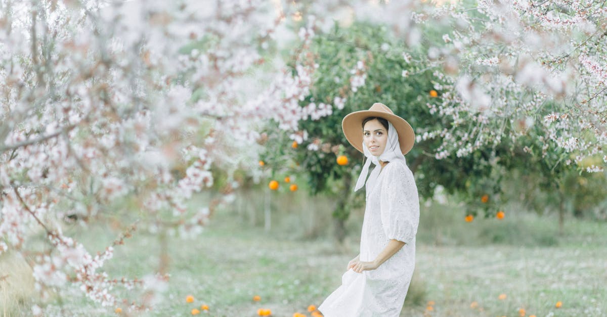 découvrez l'univers fascinant des arbres fruitiers : variétés, conseils de culture, entretien et bienfaits nutritionnels. transformez votre jardin en un verger luxuriant et savoureux grâce à nos astuces et guides pratiques.
