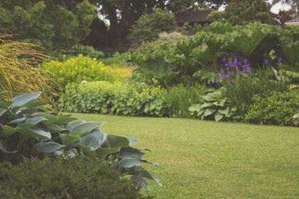 découvrez l'art du jardinage avec nos conseils pratiques, astuces et inspirations pour créer un espace de verdure épanouissant. que vous soyez débutant ou jardinier expérimenté, trouvez des idées pour cultiver vos plantes, entretenir votre jardin et profiter d'une connexion unique avec la nature.