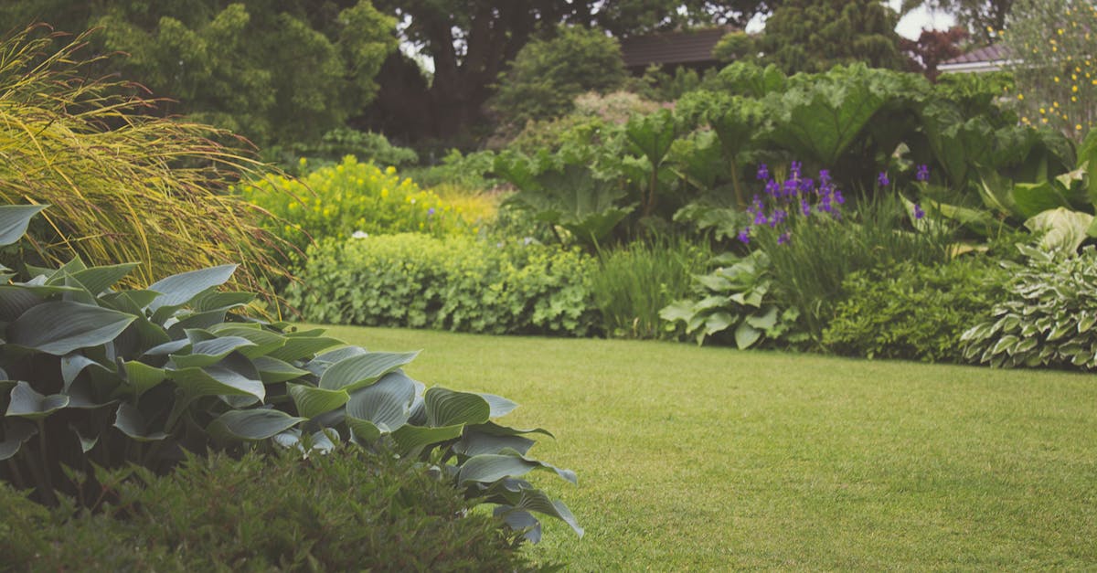 découvrez l'art du jardinage avec nos conseils pratiques, astuces et inspirations pour créer un espace de verdure épanouissant. que vous soyez débutant ou jardinier expérimenté, trouvez des idées pour cultiver vos plantes, entretenir votre jardin et profiter d'une connexion unique avec la nature.