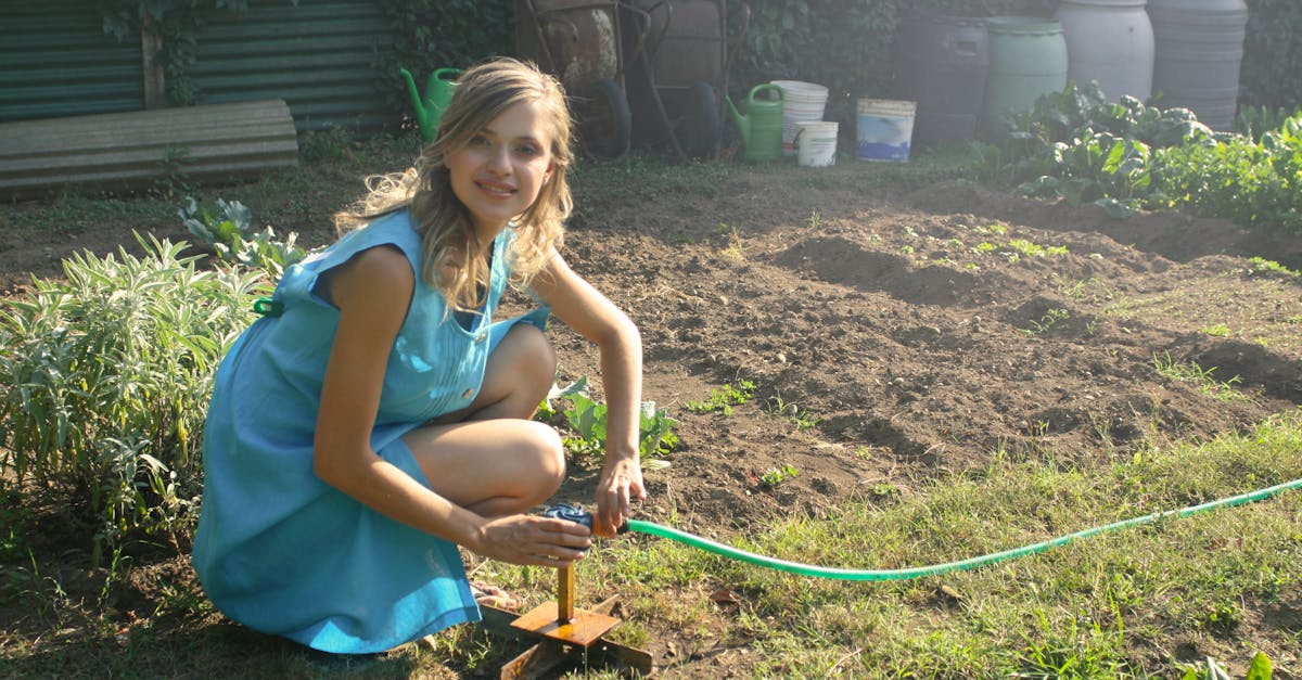 découvrez l'art du jardinage : conseils pratiques, astuces de cultivateurs et techniques variées pour créer un jardin florissant et respectueux de l'environnement.