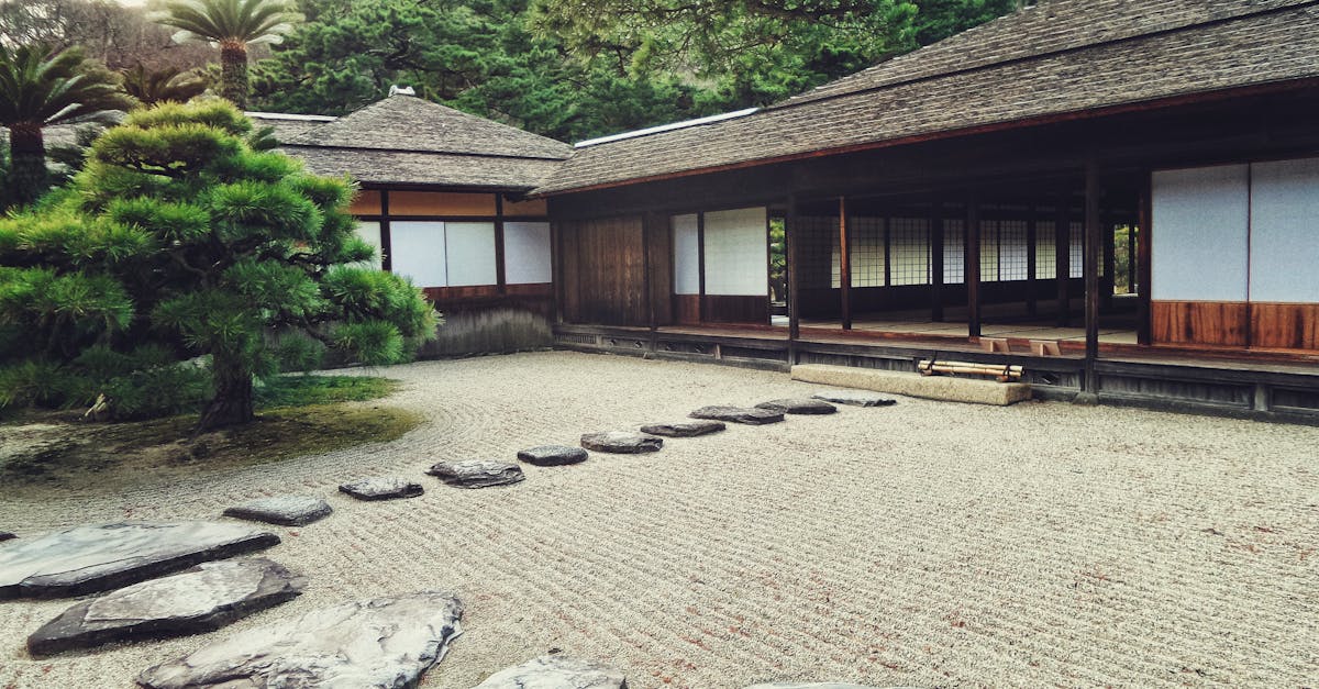 découvrez l'univers fascinant de la culture japonaise à travers ses traditions, sa gastronomie, son art et sa langue. plongez dans un monde où modernité et antiquité cohabitent harmonieusement.