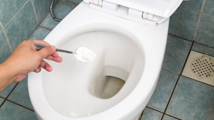 elle vide dans les toilettes les cendres du frere de son ex la decision de justice laisse la famille abasourdie